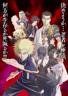 Poster anime Ninja vs. Gokudo - ニンジャ ト ゴクドウ